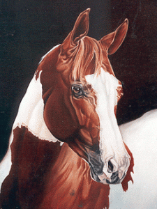 cbh-portrait