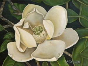 Magnolia-Blossom-e